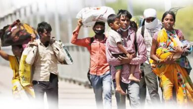migrant workers in punjab