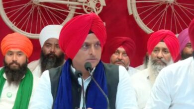 up politics 2025