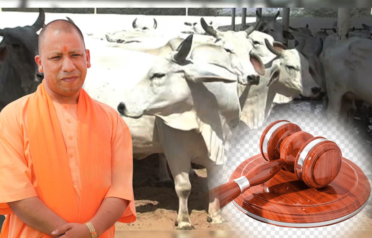 Gau Hatya Kanoon