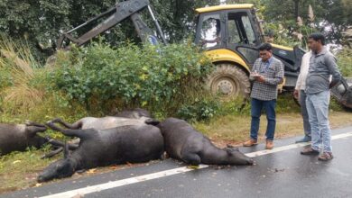 कचौरा घाट बाईपास मार्ग