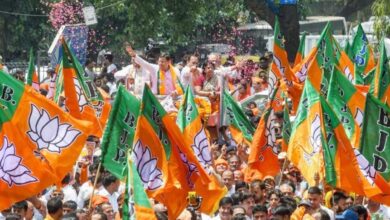 भाजपा अल्पसंख्यक मोर्चा