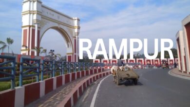 भारत स्काउट गाइड