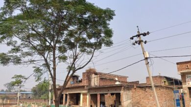 झूलते हाईटेंशन