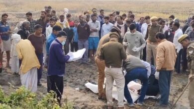 पल्लेदार