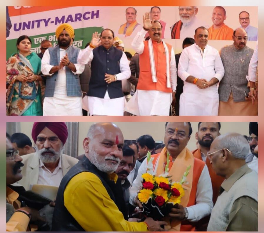 मतदाता गहन पुन निरीक्षण