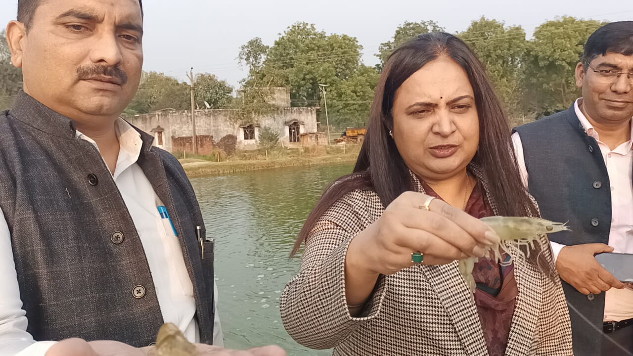 महानिदेशक मत्स्य