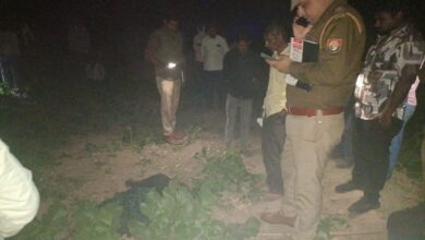 वृद्धा की हत्या
