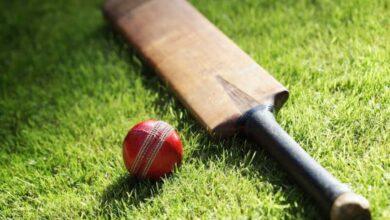 cricket off the field