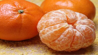 health benefits of oranges