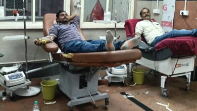 छुट्टा मवेशी से घायल