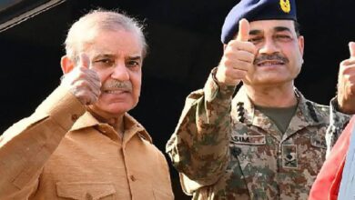 brain gain in pakistan