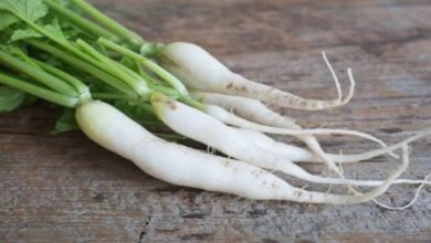 Side Effects of Radish
