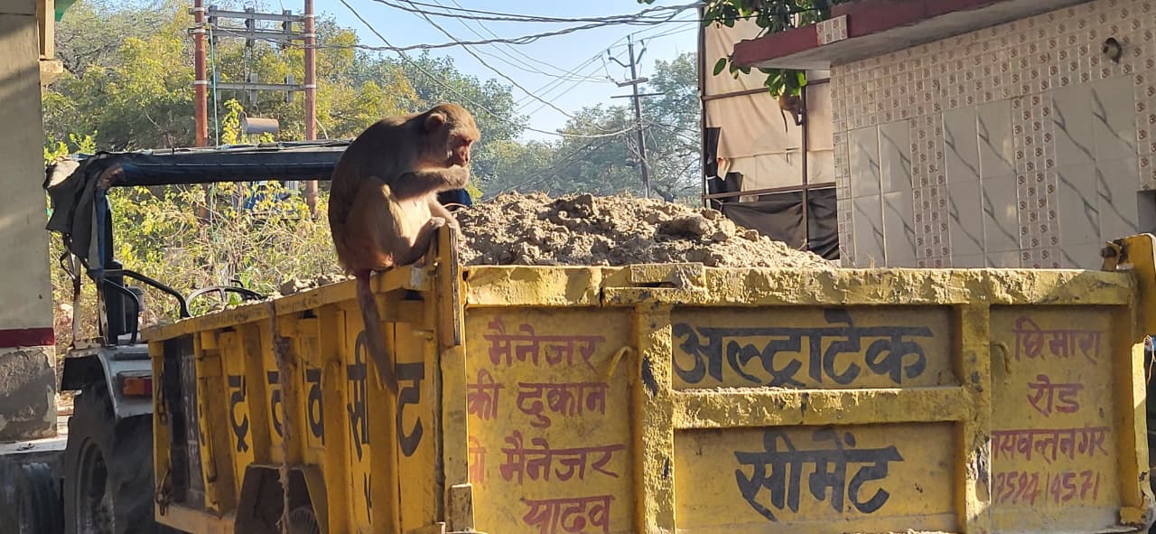 अवैध सिल्ट