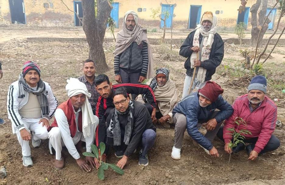 फल-फूल और छायादार