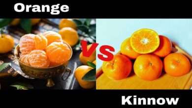 Orange vs Kinnow