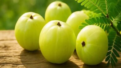 Amla Benefits Hindi