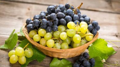 Health benefits of grapes