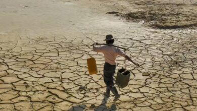 Monsoon Forecast 2026