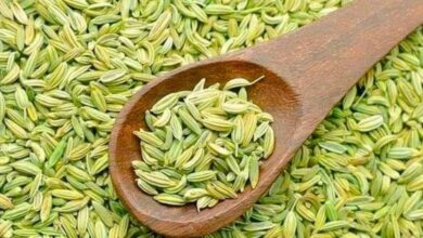 Benefits of Eating Fennel Seeds