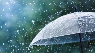Weather Update 14 June