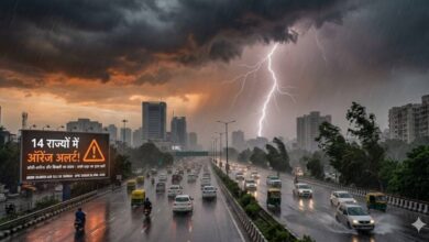IMD weather alert 25 June