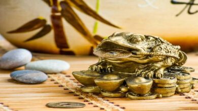 Fortune Frog Feng Shui