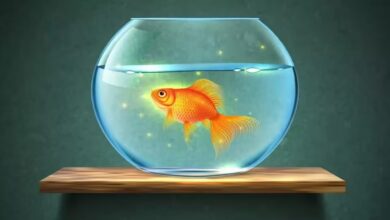 Golden fish vastu benefits