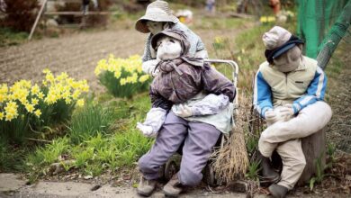 Doll Village Nagoro