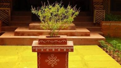 Correct direction for Tulsi plant