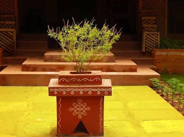 Correct direction for Tulsi plant