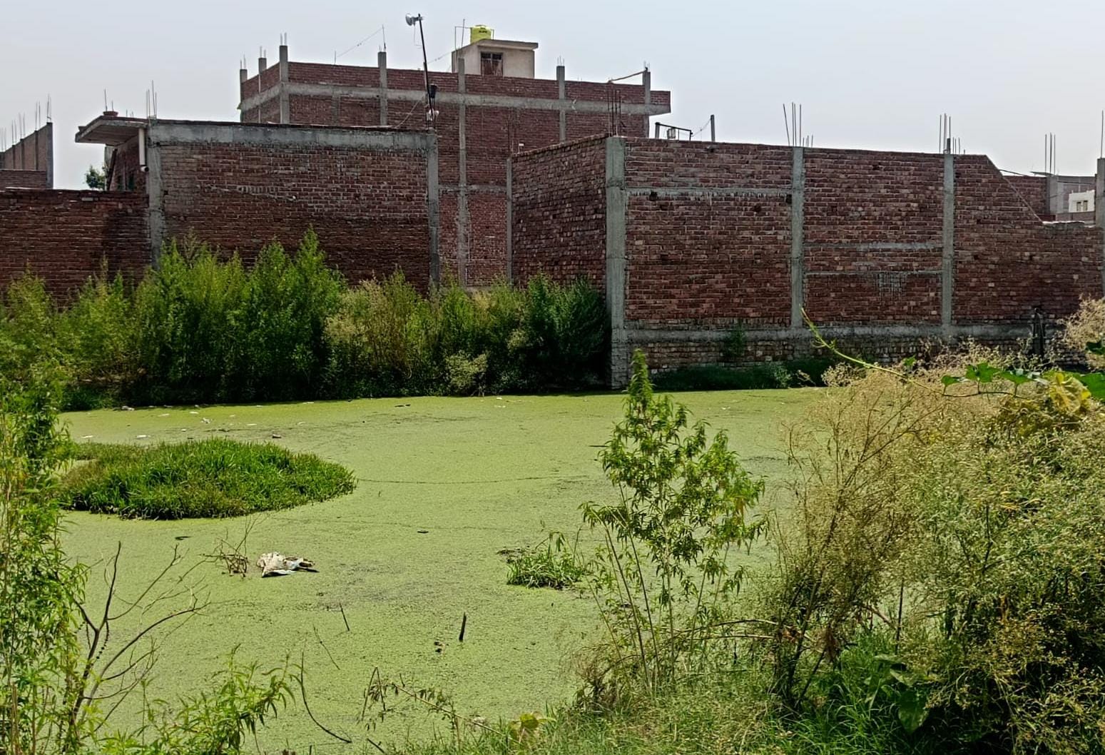 जल निकासी का अभाव: दो बीघा सरकारी भूमि बनी तालाब