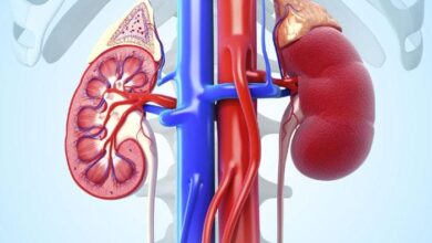 foods for kidney health