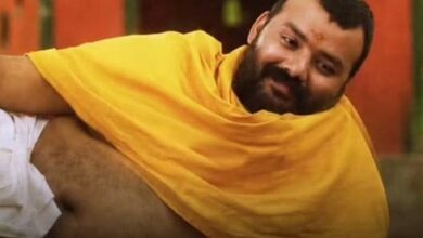 Hanuman Ansh box office collection