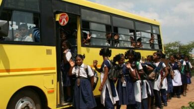 School Bus Safety