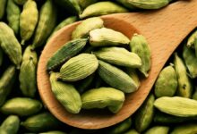 Elaichi Benefits in Hindi