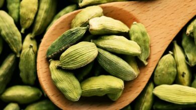 Elaichi Benefits in Hindi