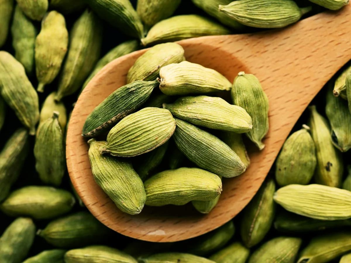 Elaichi Benefits in Hindi