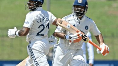 Rishabh Pant Solar Panel Broken