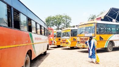 रक्षाबंधन पर रोडवेज बसों के बढ़ेंगे 250 फेरे, महिलाओं को मिलेगी राहत
