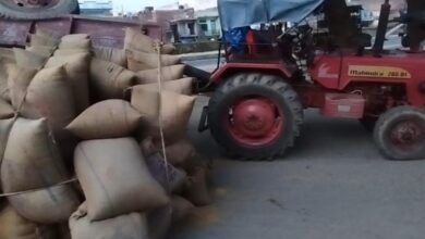 सड़क पर दौड़ती गेहूं भरी ट्रैक्टर ट्राली पलटी