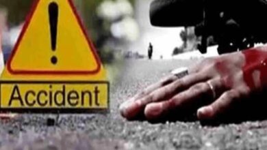 सड़क हादसों में दो युवक-दो महिलाओं की मौत