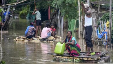 Pandu river flood level