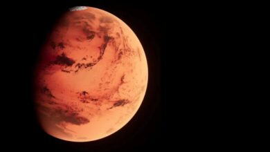 Pushya Nakshatra Mars Transit