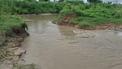 खंदी फटी: 100 बीघा से अधिक फसल जलमग्न