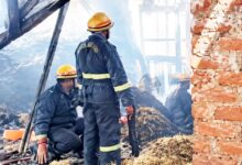 बुलंदशहर रोड इंडस्ट्रियल एरिया में कूलिंग पैड फैक्ट्री में लगी भीषण आग