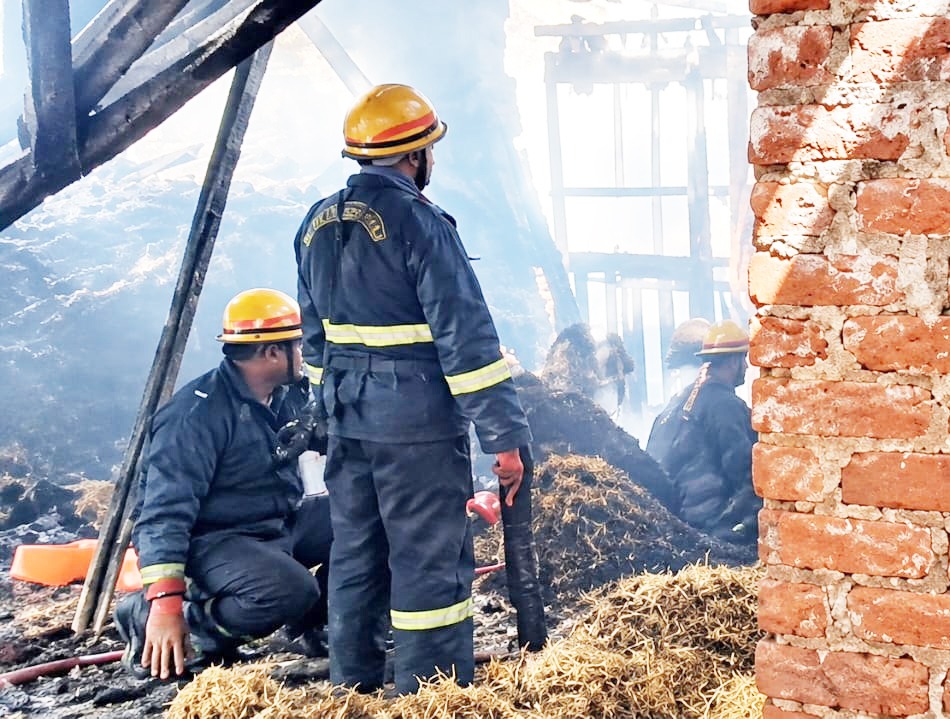बुलंदशहर रोड इंडस्ट्रियल एरिया में कूलिंग पैड फैक्ट्री में लगी भीषण आग