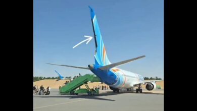 Flydubai flight FZ1073 emergency landing