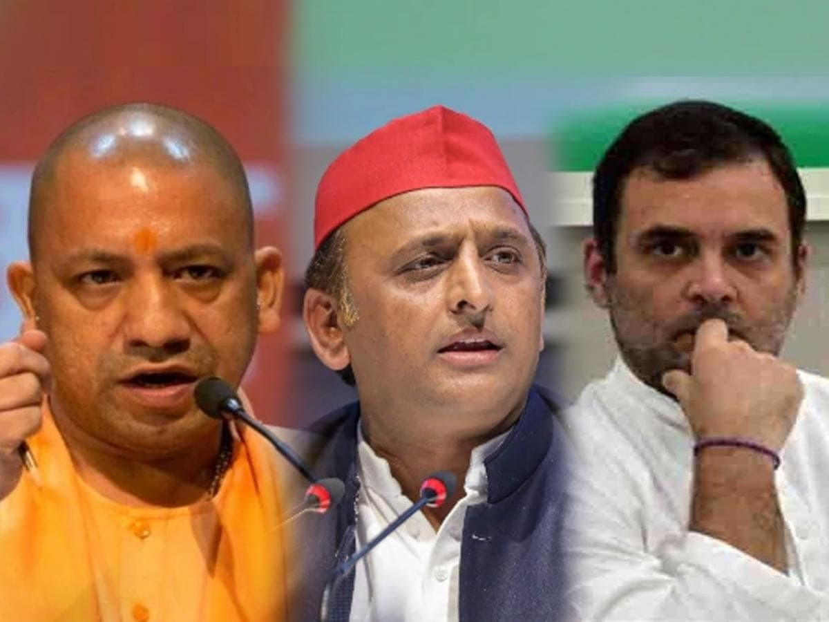 MLC Election Results 2026