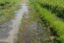 जर्जर मार्ग से स्कूल पहुंचने को मजबूर विद्यार्थी, जिम्मेदारों से सड़क निर्माण की मांग