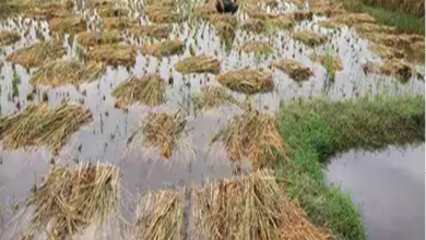 Photo of वाराणसी : गंगा ने किसानों की फसल को किया बर्बाद, बाढ़ से परेशान हुए किसान